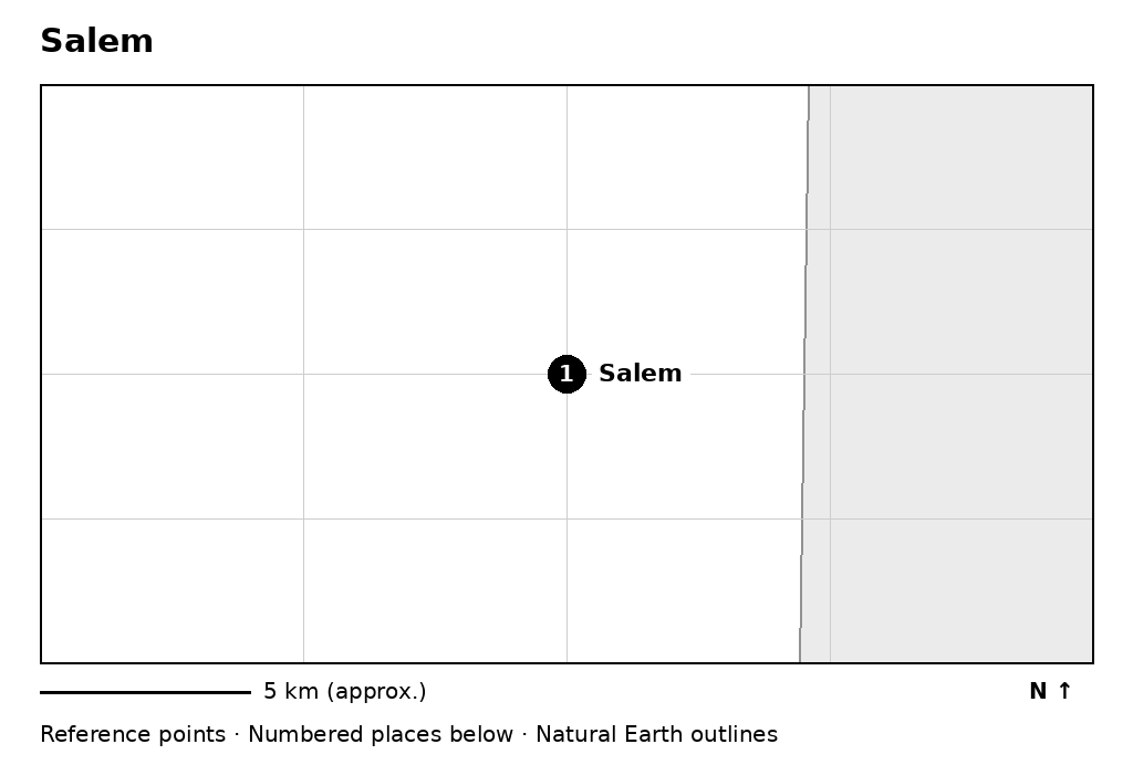 Closer orientation map for Salem